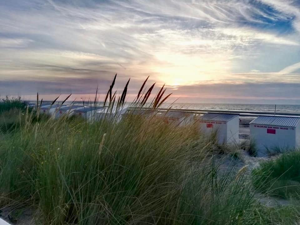Seayousoon Nieuwpoort-Bad Eksteriør billede